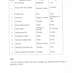 holidays-new-2025-02